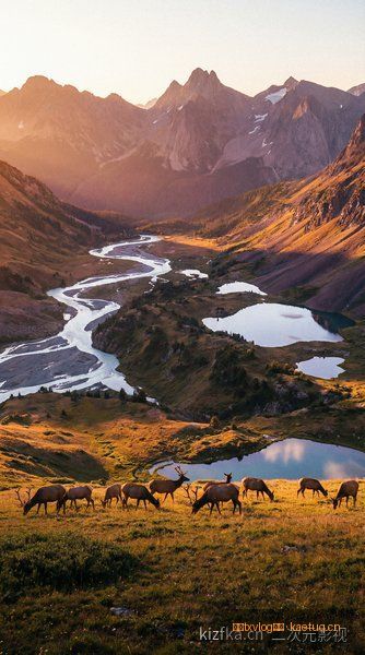 糖心txvlog影视 - 日韩好剧口碑 - 《黑暗荣耀 · 完结特辑》